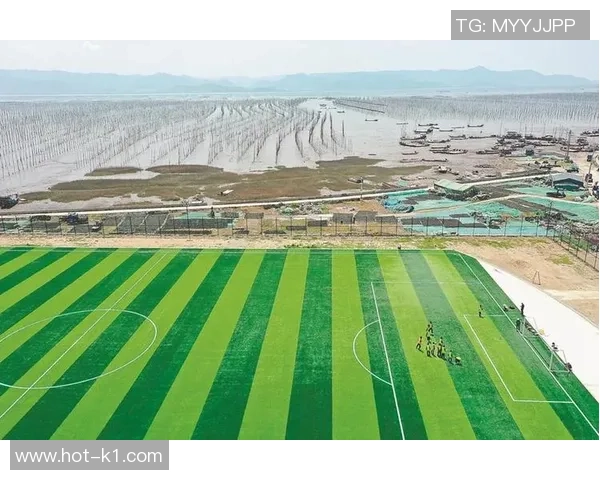 王毅在足球场上的精彩表现与一百分的完美追求